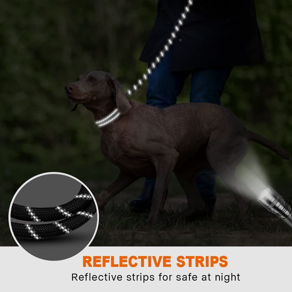 Elastic Hands-Free Dog Leash with Waist Belt